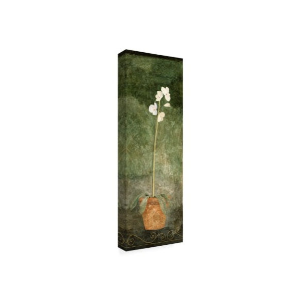 Pablo Esteban 'White Orchid In Pot On Green' Canvas Art,6x19